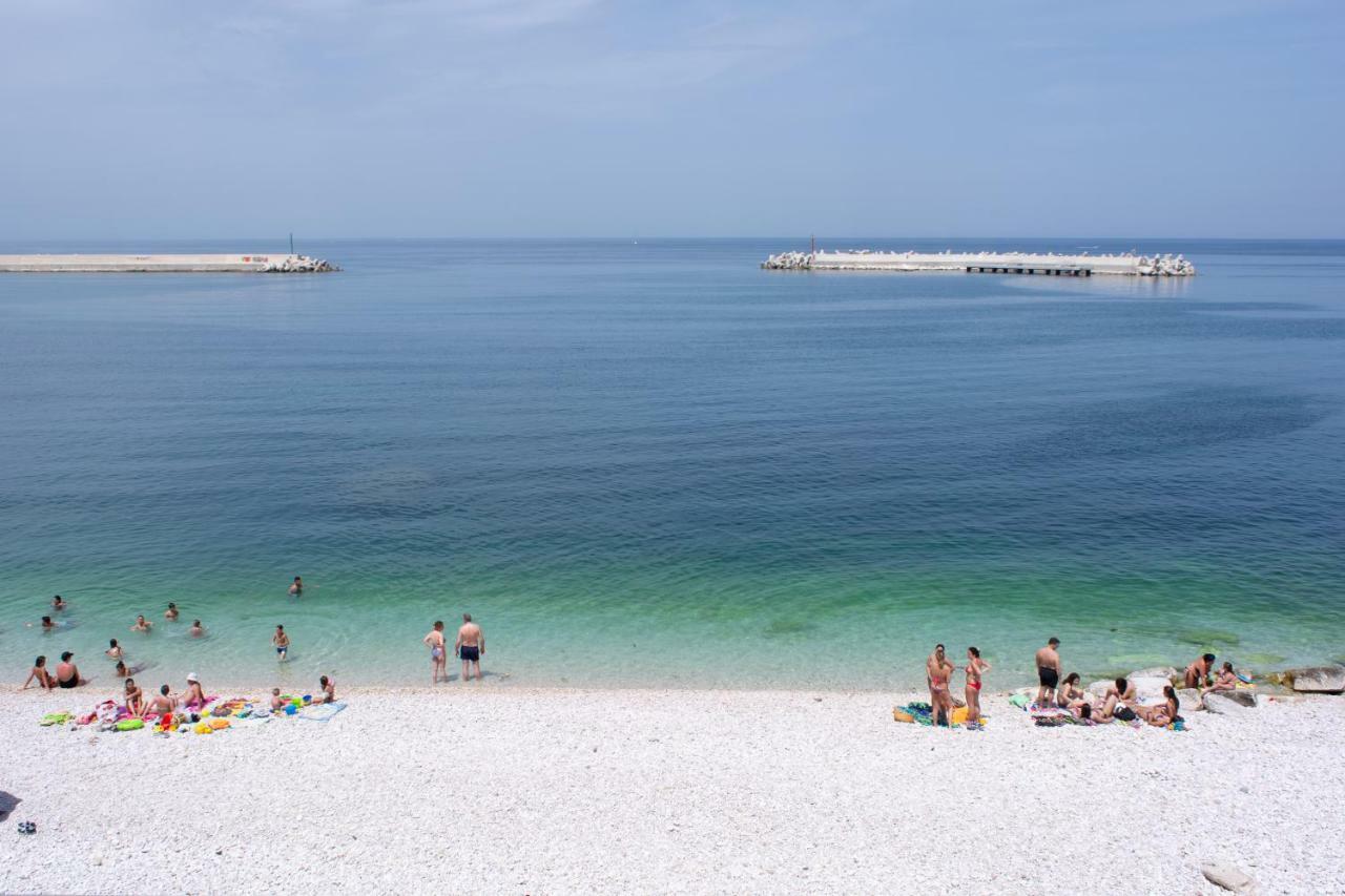 Apartment Franca Mini Bisceglie